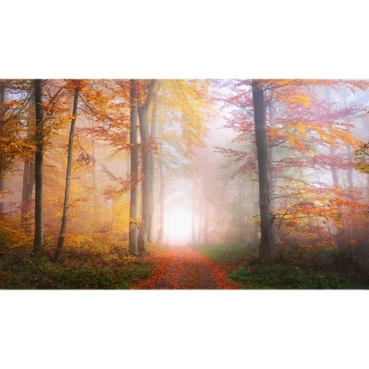 custom-nature-inspired-wallpaper-mural-prime-autumn