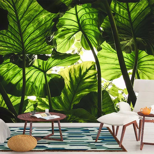 custom-wallpaper-mural-for-living-room-nature-inspired