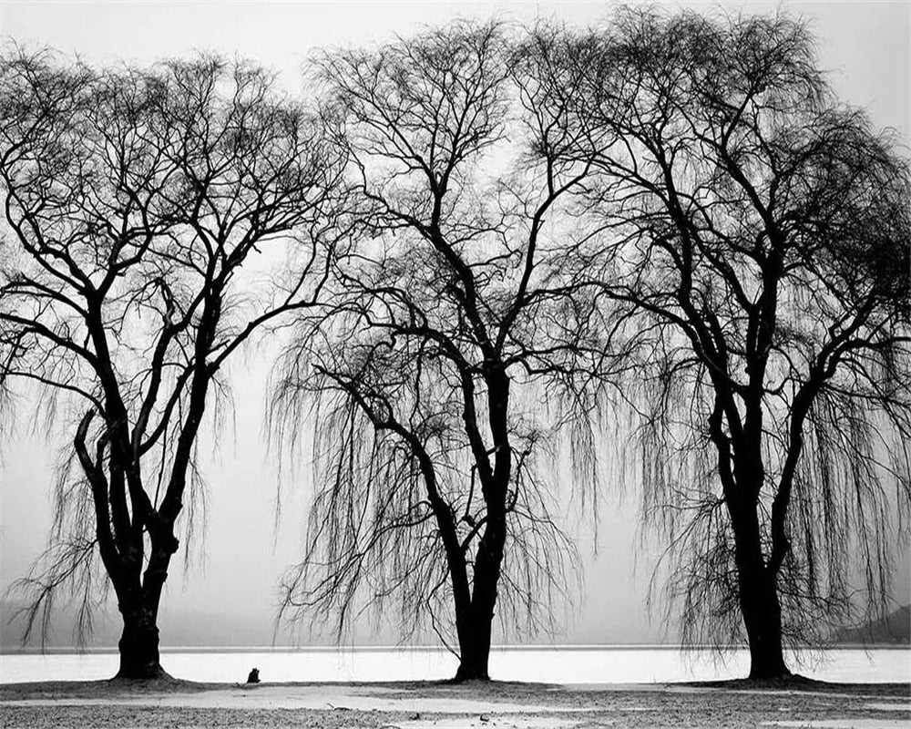 custom-mural-wallpaper-papier-peint-papel-de-parede-wall-decor-ideas-for-bedroom-living-room-dining-room-wallcovering-black-and-white-riverside-trees