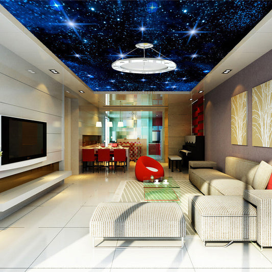 ceiling-mural-night-star-sky