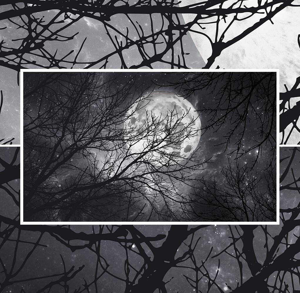 custom-mural-wallpaper-papier-peint-papel-de-parede-wall-decor-ideas-for-bedroom-living-room-dining-room-wallcovering-moon-branches-woods-wall-painting-home-decoration-black-and-white