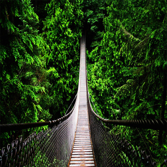 nature-landscape-wallpaper-green-forest