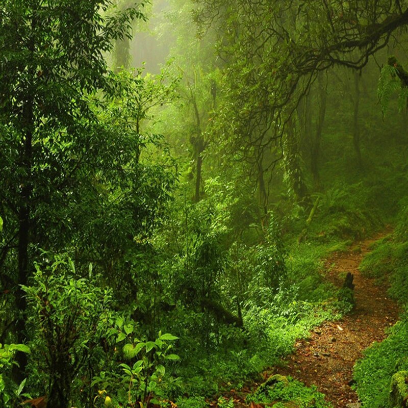 green-forest-landscape-custom-3d-photo-wallpaper-living-room-entrance-background-home-decor-wall-painting-papier-peint-mural-3d-entryway-ideas
