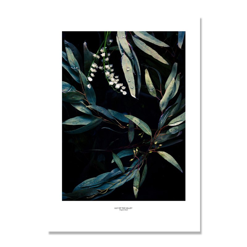 nordic-poster-cactus-wall-pictures-for-living-room-green-plants-wall-art-canvas-painting-cuadros-picture-posters-planta-unframed