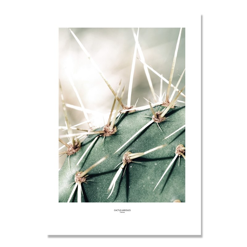nordic-poster-cactus-wall-pictures-for-living-room-green-plants-wall-art-canvas-painting-cuadros-picture-posters-planta-unframed