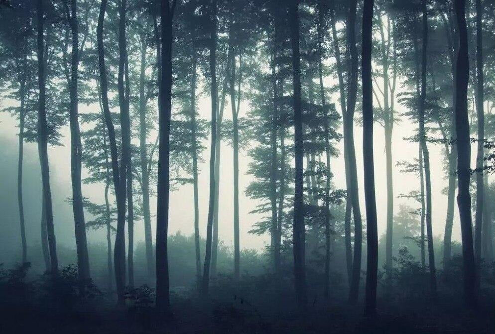 custom-mural-wallpaper-3d-living-room-bedroom-home-decor-wall-painting-papel-de-parede-papier-peint-woods-forest-landscape