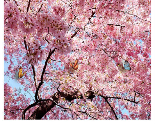 high-decorative-painting-wallpaper-beautiful-atmosphere-blue-sky-white-cherry-ceiling-zenith-wallpaper-for-walls-3-d