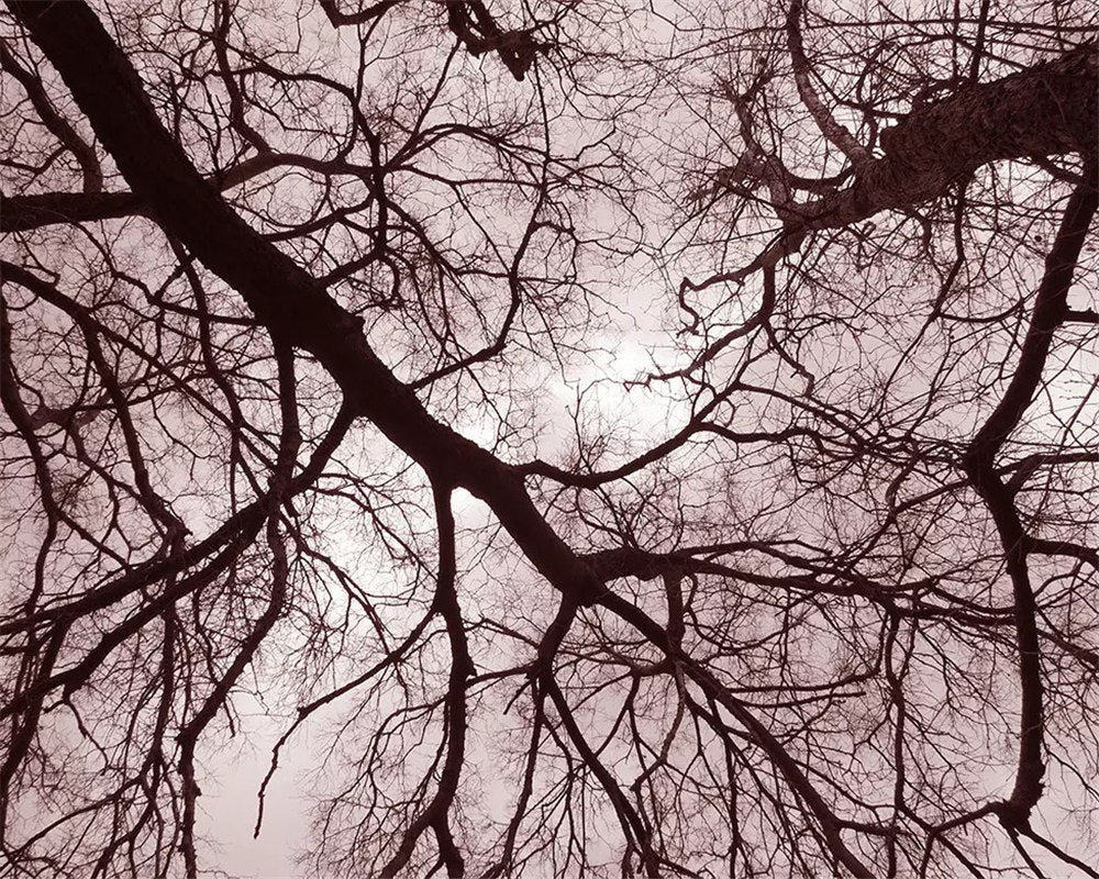 papier-peint-mural-3d-hand-painted-lush-woods-ceiling-background-wall-painting-wallpaper-3d-on-the-wall-3d-wall-murals