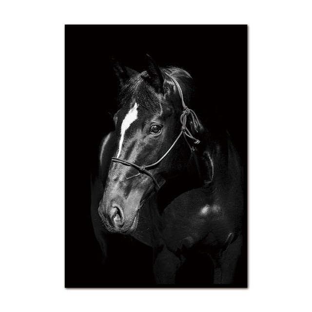 bvm-home-canvas-painting-hd-animal-decorative-horses-pictures-printed-canvas-wall-art-home-decor-modular-paintings-for-living-room