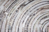 custom-glass-mosaic-mural-abstract-wood-year-rings