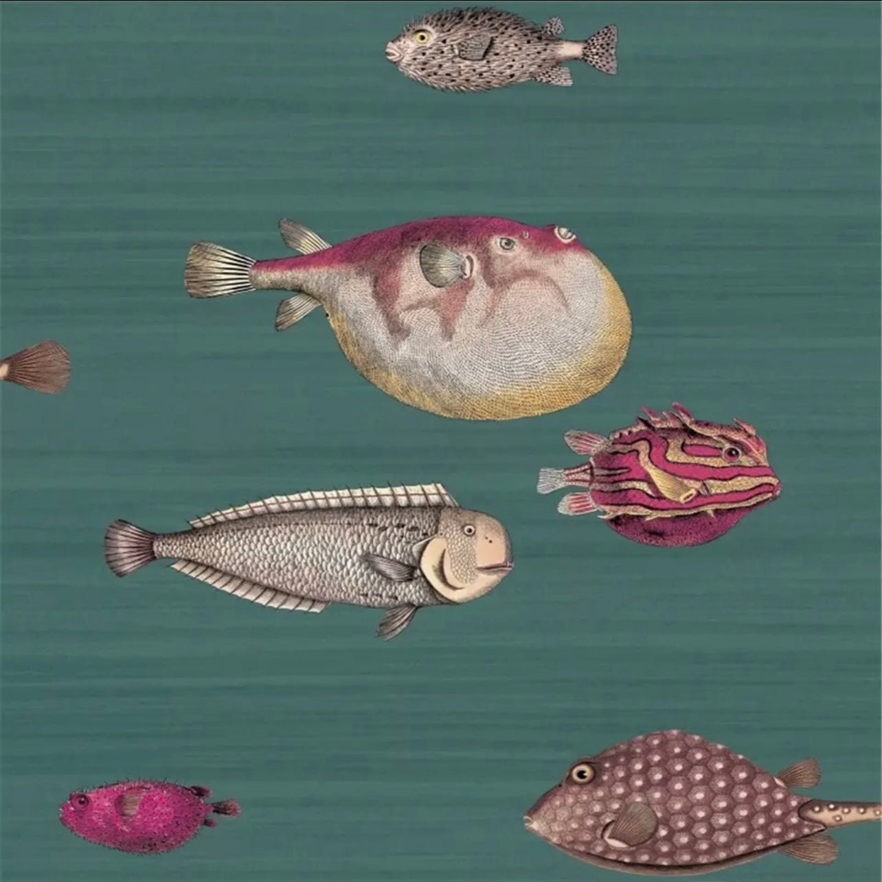 custom-wallpaper-vintage-ocean-fish-art-mural
