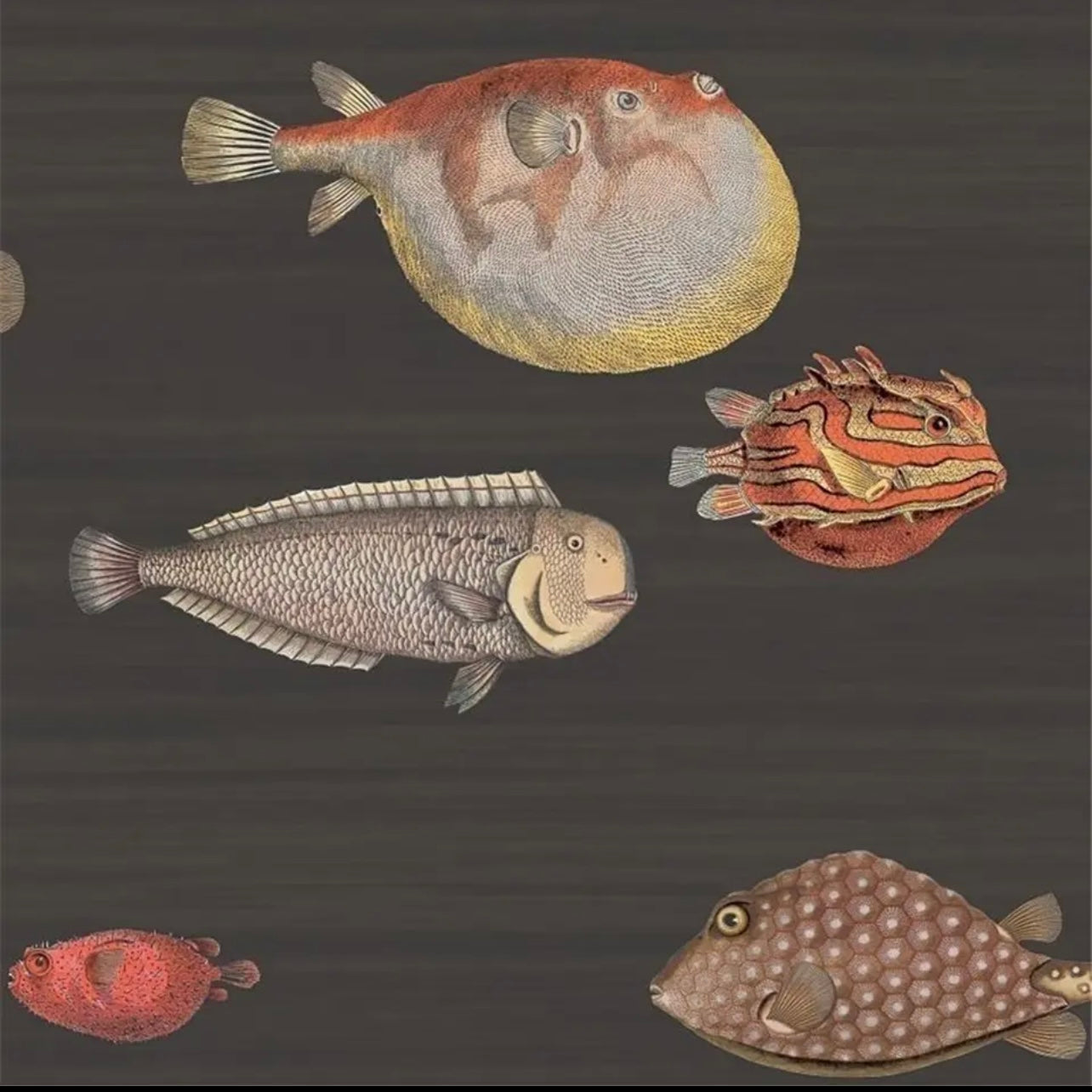 custom-wallpaper-vintage-ocean-fish-art-mural