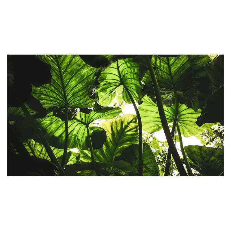 custom-wallpaper-mural-for-living-room-nature-inspired