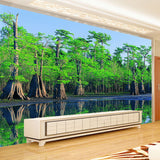 nature-landscape-wallpaper-sunshine-forest