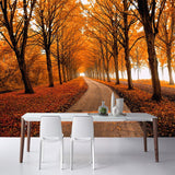 custom-mural-wallpaper-papier-peint-papel-de-parede-wall-decor-ideas-for-bedroom-living-room-dining-room-wallcovering-Nature-Landscape-Autumn-Maple-Woods-3D-Stereo-Spatial-Expansion-Restaurant