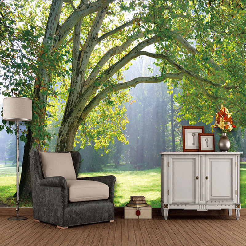 custom-wall-mural-3d-green-forest-wallpaper-sunshine