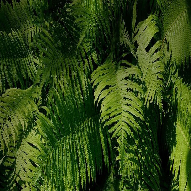 custom-mural-wallpaper-papier-peint-papel-de-parede-wall-decor-ideas-for-bedroom-living-room-dining-room-wallcovering-Creative-Green-Plant-Leaf
