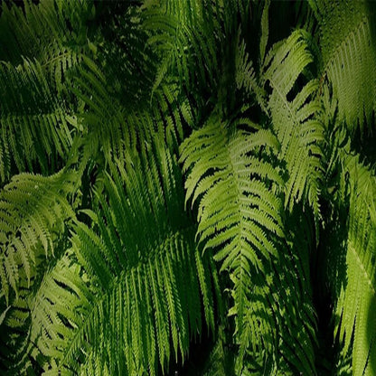 custom-mural-wallpaper-papier-peint-papel-de-parede-wall-decor-ideas-for-bedroom-living-room-dining-room-wallcovering-Creative-Green-Plant-Leaf
