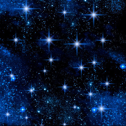 Custom Night Sky Ceiling Mural (㎡)