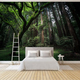 custom-any-size-photo-murals-3d-wallpaper-retro-green-virgin-forest-landscape-wall-cloth-living-room-bedroom-home-decor-fresco