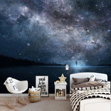 custom-mural-wallpaper-papier-peint-papel-de-parede-wall-decor-ideas-for-wallcovering-Cosmic-Starry-Sky-Landscape-Fresco