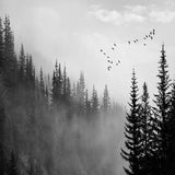 custom-mural-wallpaper-papier-peint-papel-de-parede-wall-decor-ideas-for-bedroom-living-room-dining-room-wallcovering-3D-Misty-Bird-Forest