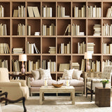 bookshelf-bookcase-library-wallpaper-vintage-retro-mural-wallcovering
