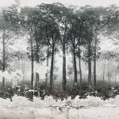 custom-mural-wallpaper-papier-peint-papel-de-parede-wall-decor-ideas-for-bedroom-living-room-dining-room-wallcovering-Retro-Nostalgic-Black-White-Abstract-Forest-Bird-Art-Wall-Painting