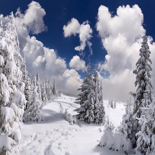 custom-photo-wallpaper-winter-snow-landscape-forest-wall-mural-wall-decorations-living-room-sofa-tv-wallpaper-mural-de-pared-3d