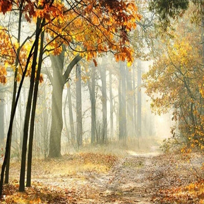 custom-mural-wallpaper-3d-living-room-bedroom-home-decor-wall-painting-papel-de-parede-papier-peint-woods-forest-trail-autumn
