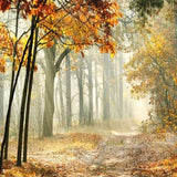 custom-mural-wallpaper-3d-living-room-bedroom-home-decor-wall-painting-papel-de-parede-papier-peint-woods-forest-trail-autumn
