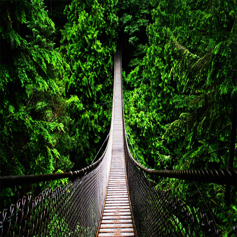 nature-landscape-wallpaper-green-forest