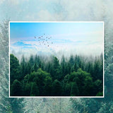 decorative-wallpaper-nordic-minimalist-style-mist-forest-remote-mountain-birds-background-wall-mural-modern-wallcovering