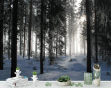 custom-size-wall-mural-3d-wallcovering-decorative-wallpaper-black-and-white-trees-forest-scene-background-wall-painting-landscape-snow-mountain-forest