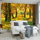 custom-mural-wallpaper-papier-peint-papel-de-parede-wall-decor-ideas-for-bedroom-living-room-dining-room-wallcovering-HD-Autumn-Forest-Maple-Leaf