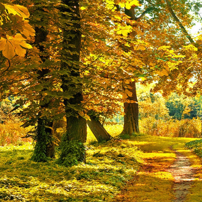 custom-mural-wallpaper-papier-peint-papel-de-parede-wall-decor-ideas-for-bedroom-living-room-dining-room-wallcovering-HD-Autumn-Forest-Maple-Leaf