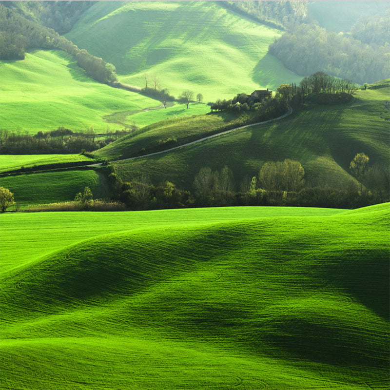 Custom Wallpaper Mural Lawn Mountain Natural Scenery Photo BVM Home