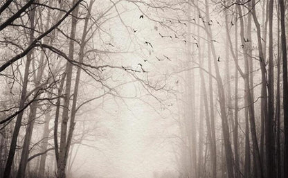 custom-3d-wall-decoration-wallpaper-mural-woods-forest-birds-retro-nostalgic-tv-background-wall-paper-papier-peint