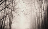 custom-3d-wall-decoration-wallpaper-mural-woods-forest-birds-retro-nostalgic-tv-background-wall-paper-papier-peint