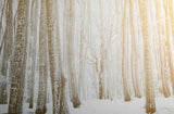 custom-3d-large-wallpaper-mural-nordic-minimalist-golden-forest-snow-background-wall-paper-mural-papier-peint