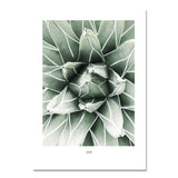 nordic-poster-cactus-wall-pictures-for-living-room-green-plants-wall-art-canvas-painting-cuadros-picture-posters-planta-unframed