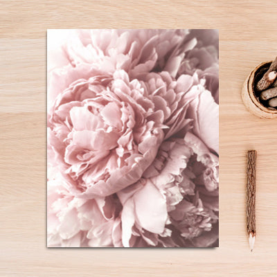 Bookstack Peony Pink Art: Canvas Prints, Frames & Posters