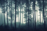 custom-mural-wallpaper-3d-living-room-bedroom-home-decor-wall-painting-papel-de-parede-papier-peint-woods-forest-landscape