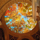 custom-3d-mural-wallpaper-papier-peint-ceiling-mural-interior-bedroom-dining-room-living-room-photo-wall-decoration-fall-colorful-forest