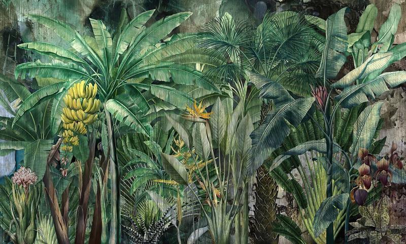 Custom Mural Wallpaper Tropical Rainforest Banana Leaves | BVM Home