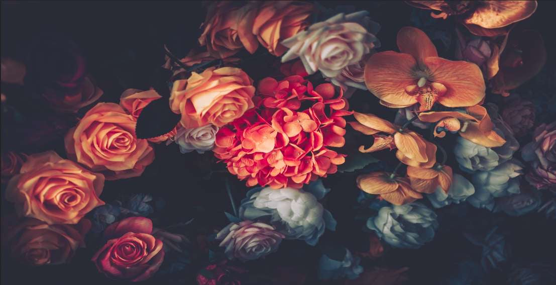 Custom Retro Floral Wall Mural – Bold Botanical Wallpaper in Vintage Colors
