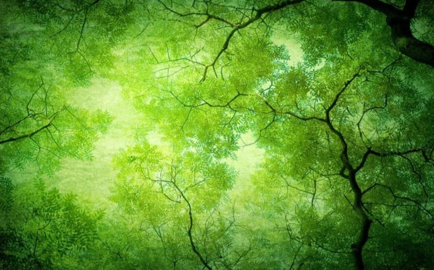 custom-3d-mural-wallpaper-papier-peint-ceiling-mural-interior-bedroom-dining-room-living-room-photo-wall-decoration-green-forest