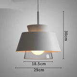 Nordic Iron Glass Led Pendant Light Modern Hanging Lamp