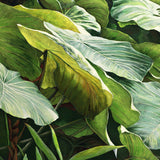 custom-mural-wallpaper-southeast-asian-tropical-jungle-foliage-large-leaves-oil-painting-for-living-room-decoration-wallpaper