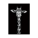 hd-animal-canvas-wall-art-nordic-black-white-pictures-modular-paintings-for-living-room-home-decoration-prints